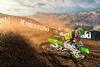 Kawasaki 2019 KX450